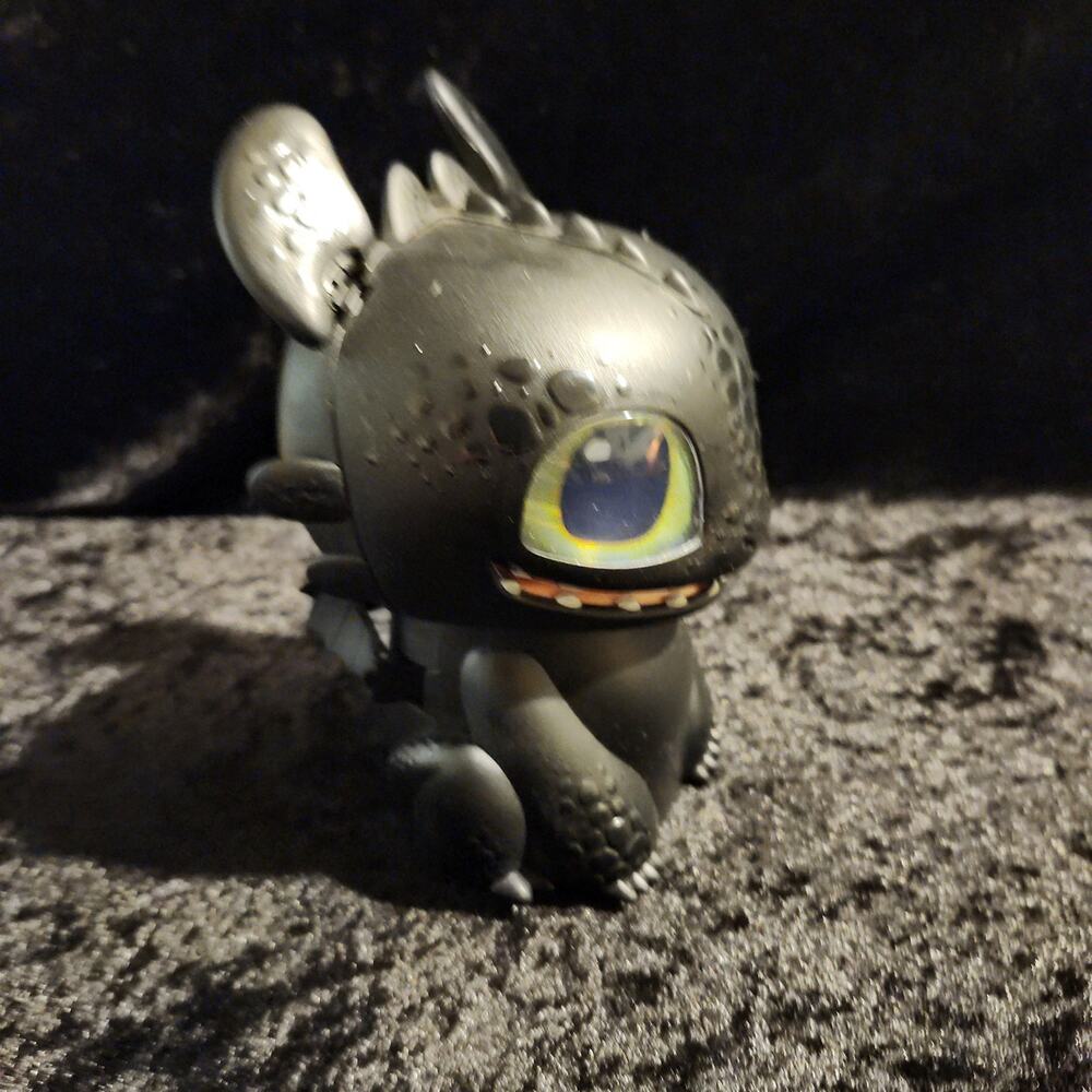 How To Train A Dragon